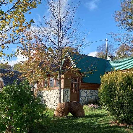 Family Farm Bungalow Zabljak  Exterior photo